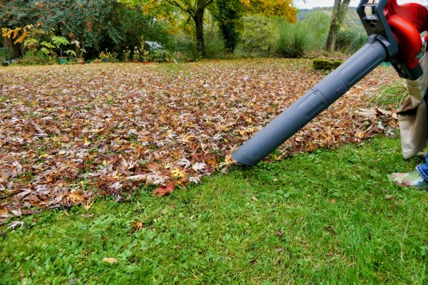 Leaf Vacuuming Service in Santa Maria