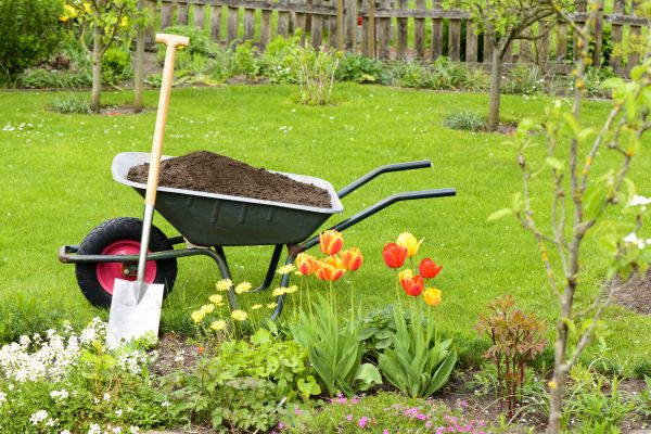 Spring Yard Cleanup in Santa Maria
