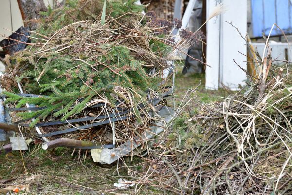 Yard Waste Removal Service in Santa Maria