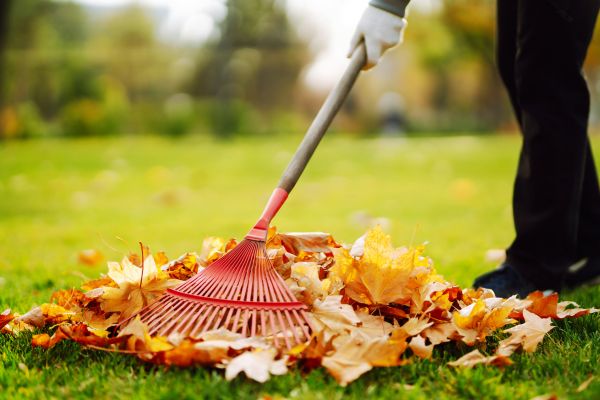 Ditch Leaf Removal in Santa Maria
