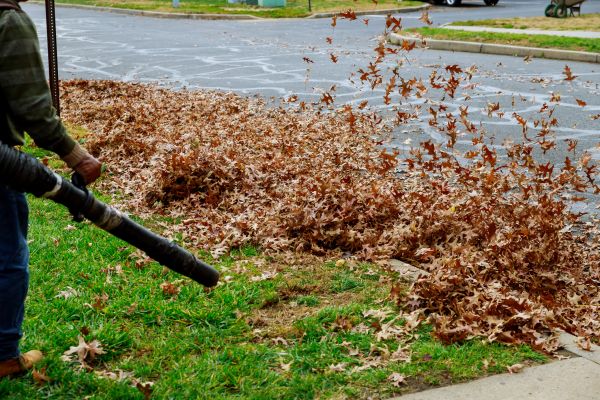 Garden Leaf Removal in Santa Maria