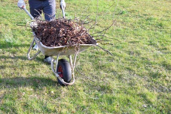 Yard Brush Removal in Santa Maria