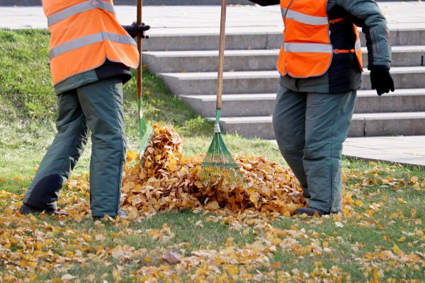 Leaf Hauling Service in Santa Maria