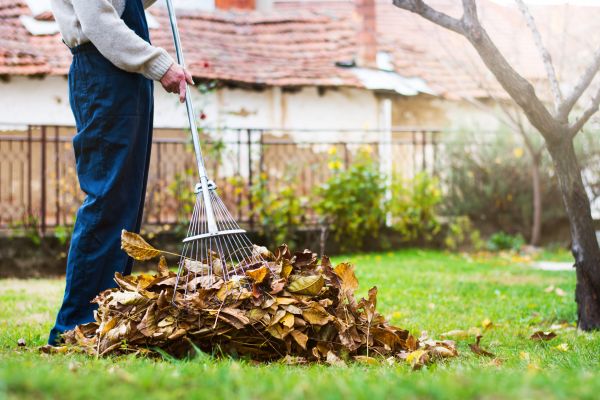 Spring Lawn Cleanup in Santa Maria