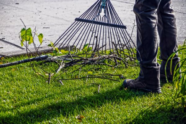 Yard Debris Cleanup in Santa Maria