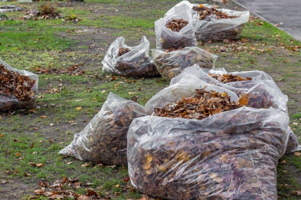 Leaf Pile Disposal in Santa Maria