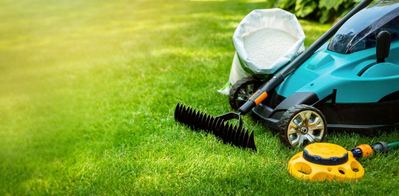 Fall Lawn Cleanup Service