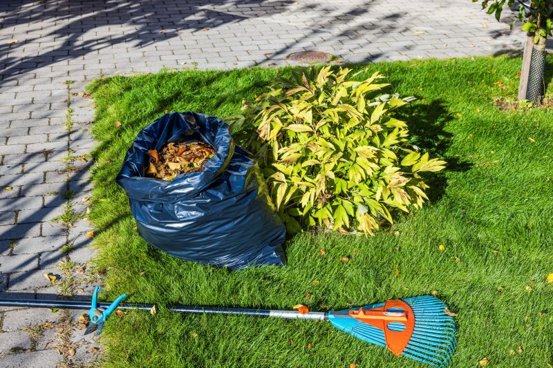 Landscaping Cleanup Service