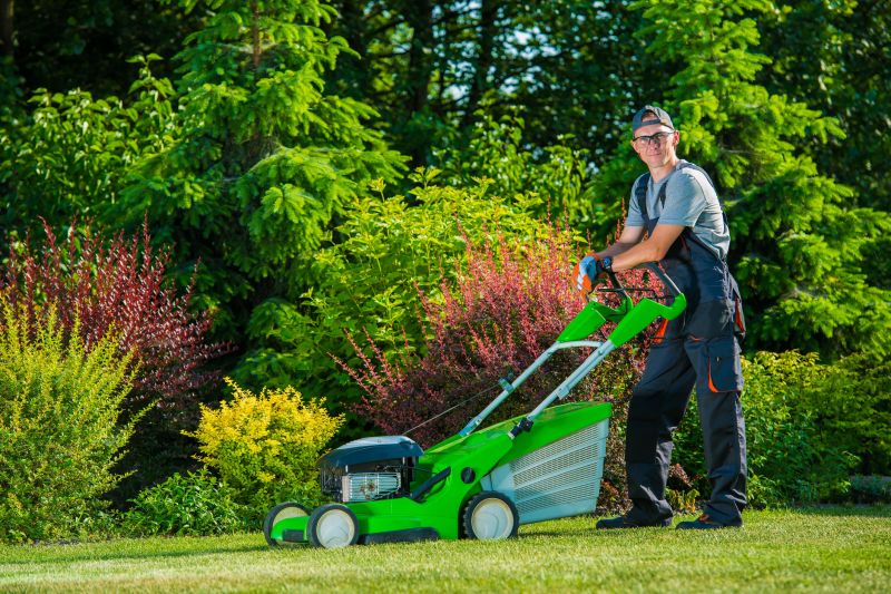 Lawn Cleanup Equipment