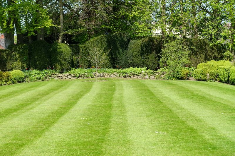 Manicured Lawn Borders