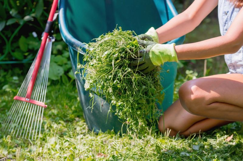 Lawn health maintenance